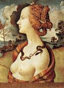 Piero di Cosimo Portrait of Simonetta Vespucci oil painting artist
